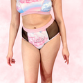 High-Rise Period Undie with MESH 💖✨Pastel Pride 🌈☁️