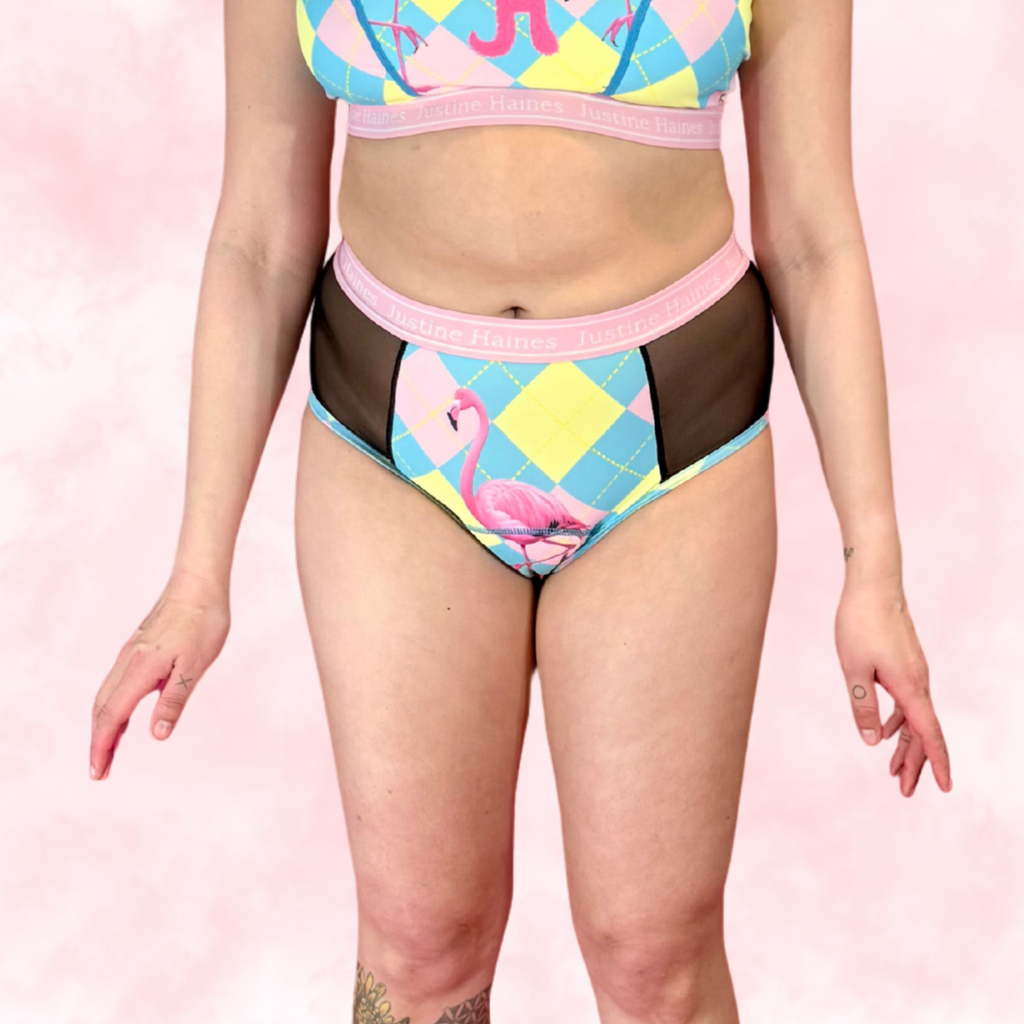 High-Rise Period Undie with MESH 🎀 Preppy Flamingo 🦩✨